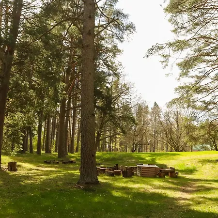 Hostal Rosengarden Raseborg